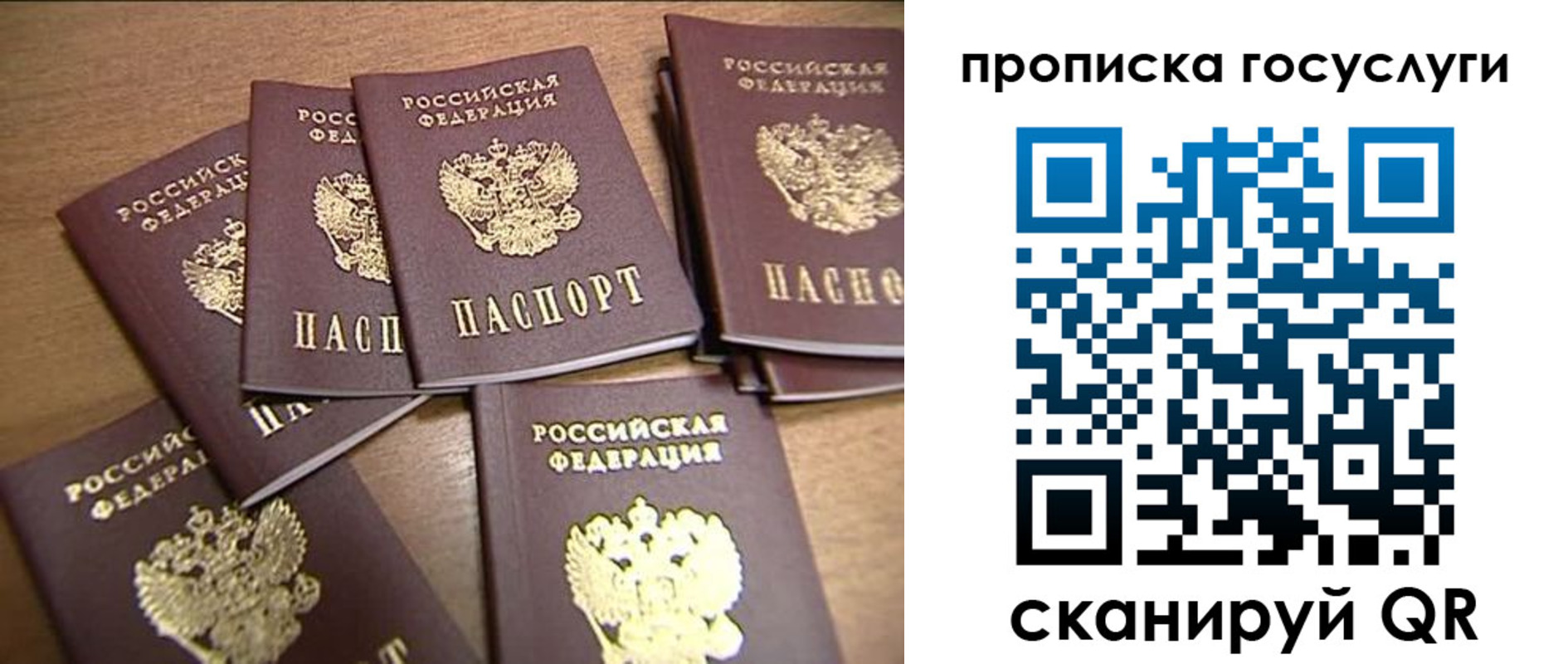 прописка ребенка в Всеволожске